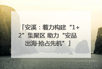 安溪：着力构建“1+2”集聚区 助力“安品出海·抢占先机”